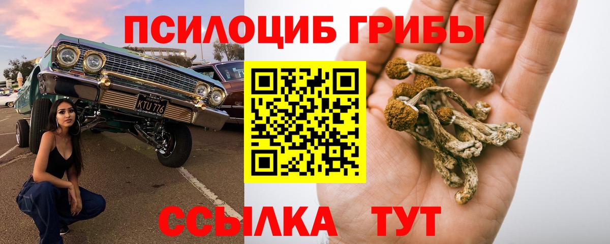 Галлюциногенные грибы мухоморы Приморско-Ахтарск