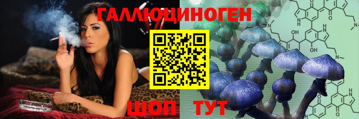 Приморско-Ахтарск  Псилоцибиновые грибы мухоморы  Вход с VPN 